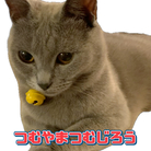 つむやまつむじろうSHOP ( stupa1977 )