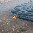 遠 ( A_traveling_102 )