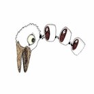 鯨ジュース ( juice_whale )