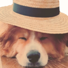 rinramuわぁるど ( rinrin10 )