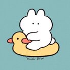 タヌキ シオリ ( oshiori )