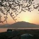 のさか山猫 ( _lizhi_ )