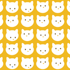 Dot Cat Daily ( DCD )