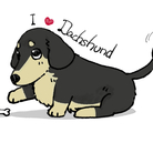 Dachshund ( kotesu-dachs )