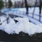 Atelier NORTH POLE(アトリエ北極) ( yusuke-omura )