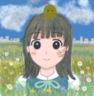 はるかぜ ( harukaze17 )
