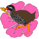 沖縄のいきもの ( haruharu0 )