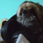 Night after Night ( yoru-3 )