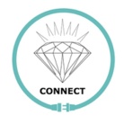 CONNECT ( soma13 )