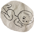 nannan labo ( siro_labo )