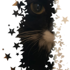 またたび商會 ( kemitamtam-02 )