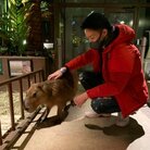 Liberty ( renkonvip )