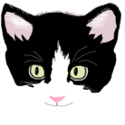 はちファンショップ ( hachifun )