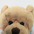 ぬいぐるみのララ ( Rarachan5sai )