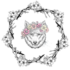 -kasan-　花山 ( -kasan- )