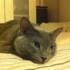 Atsuko Kawashima ( hananyo2 )